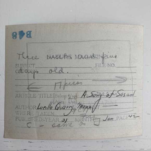 2 Vintage '31 Press Photos Lion Cub National Zoo - Picture 5 of 5